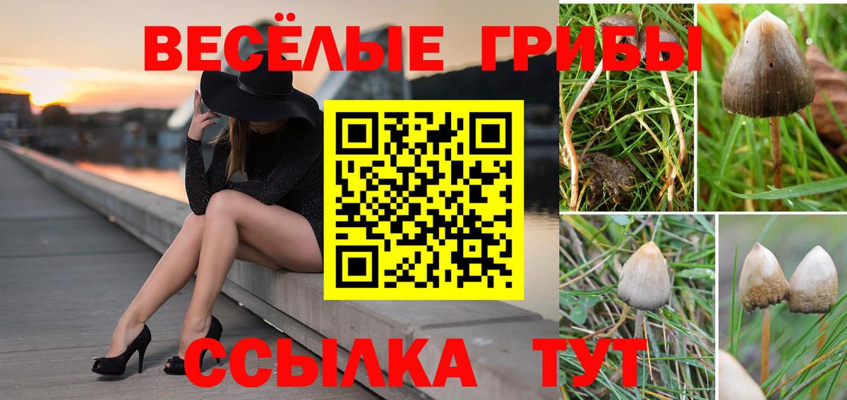 Галлюциногенные грибы ЛСД Рославль